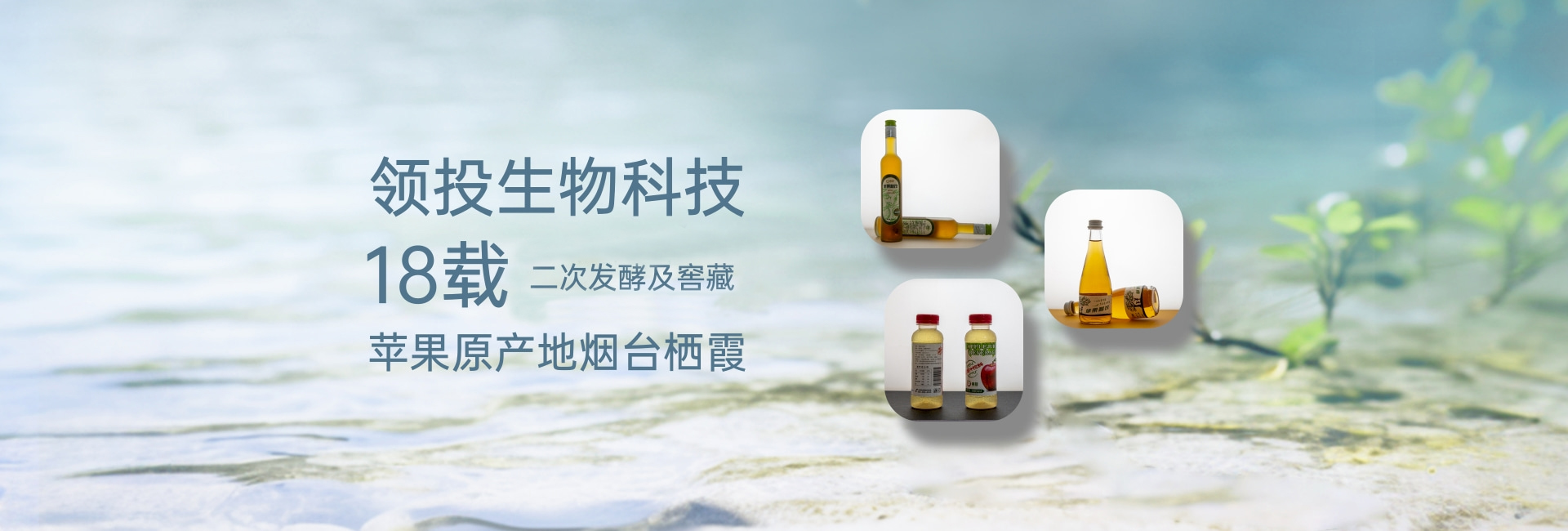 第二张